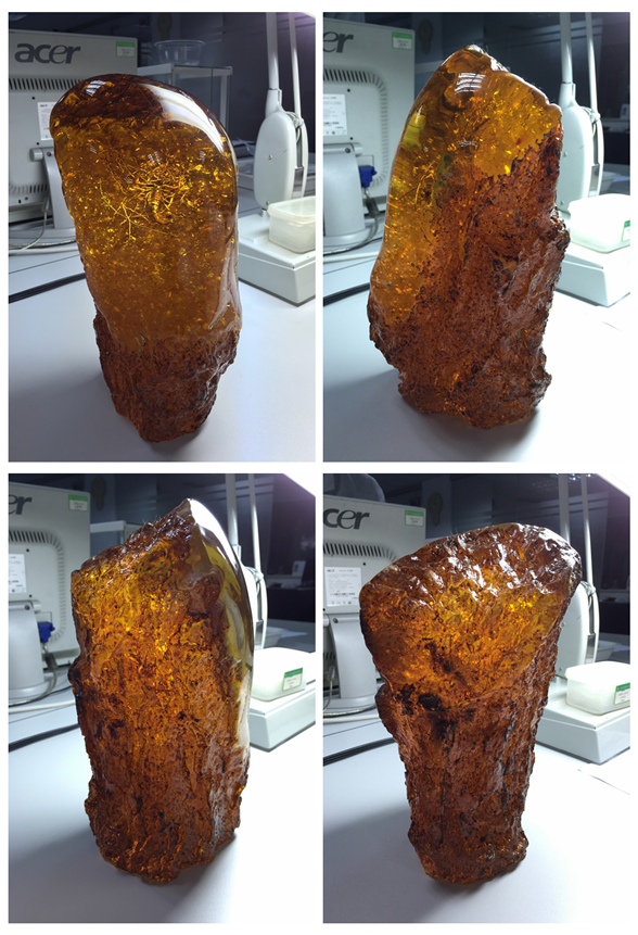 這&ldquo;琥珀&rdquo;原來是塑料(1)125.png